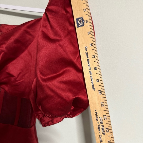 The Autumn Adeigbo Clarette Deep Red Goth Witchy Mesh Corset Dark Academia 4 - Picture 7 of 16